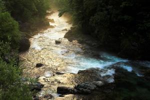 Reka Savinja (Foto: D. Turnšek)